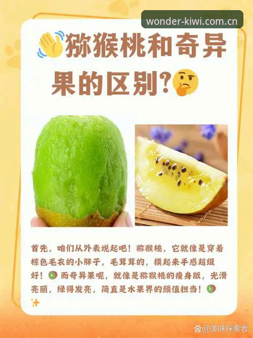 奇异果怎么样必备 深度揭秘:奇异果怎么样必备?新手入门全攻略,避开这些坑你就赢了