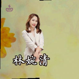 林婉清